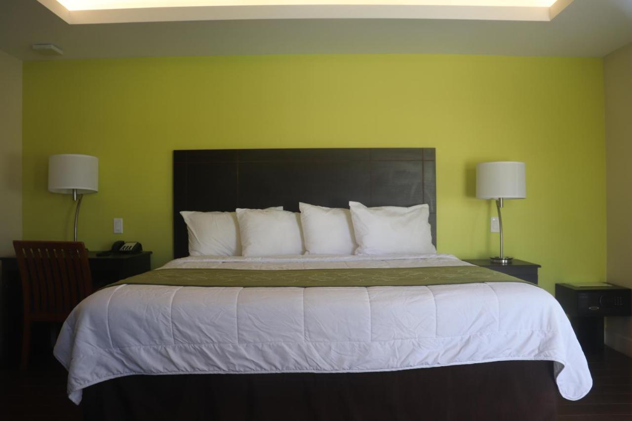 Curtis Inn & Suites Hollywood Esterno foto