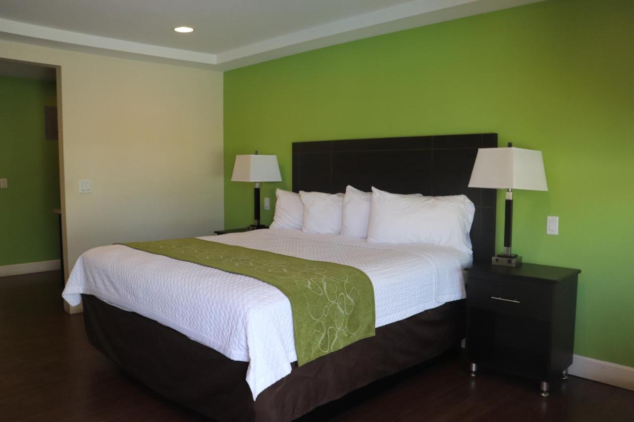 Curtis Inn & Suites Hollywood Esterno foto